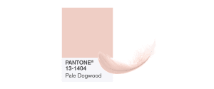 PANTONE-13-1404-Pale-Dogwood