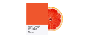 PANTONE-17-1462-Flame